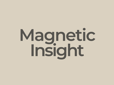 Magnetic Insight _ Investor Initiatives-2024